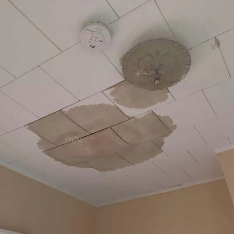 Ceiling Water Damage Repair in LaMoure County, ND