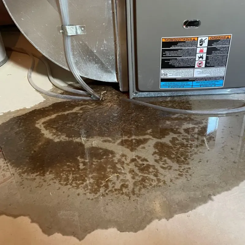 Pipe Burst and Leak Restoration in LaMoure County, ND
