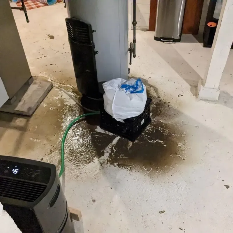 Sewage Backup Cleanup Service in LaMoure County, ND